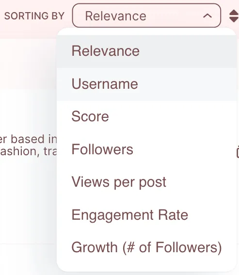 Influencer Suche -