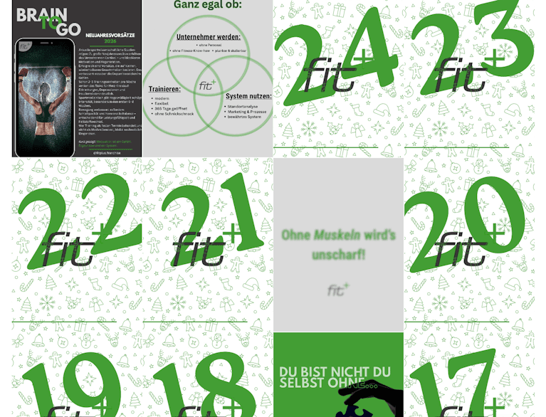 Instagram Feed von FitPlus für den influData Blogartikel zu den Top 20 Fitness Brands